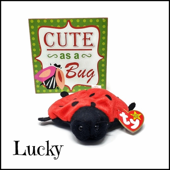 Bundle of Cute as a Bug Sign & Vintage Beanie Baby with tag - Picture 1 of 8